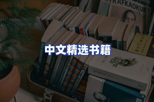 中文精选书籍
